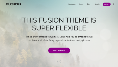 theme-fusion-pro